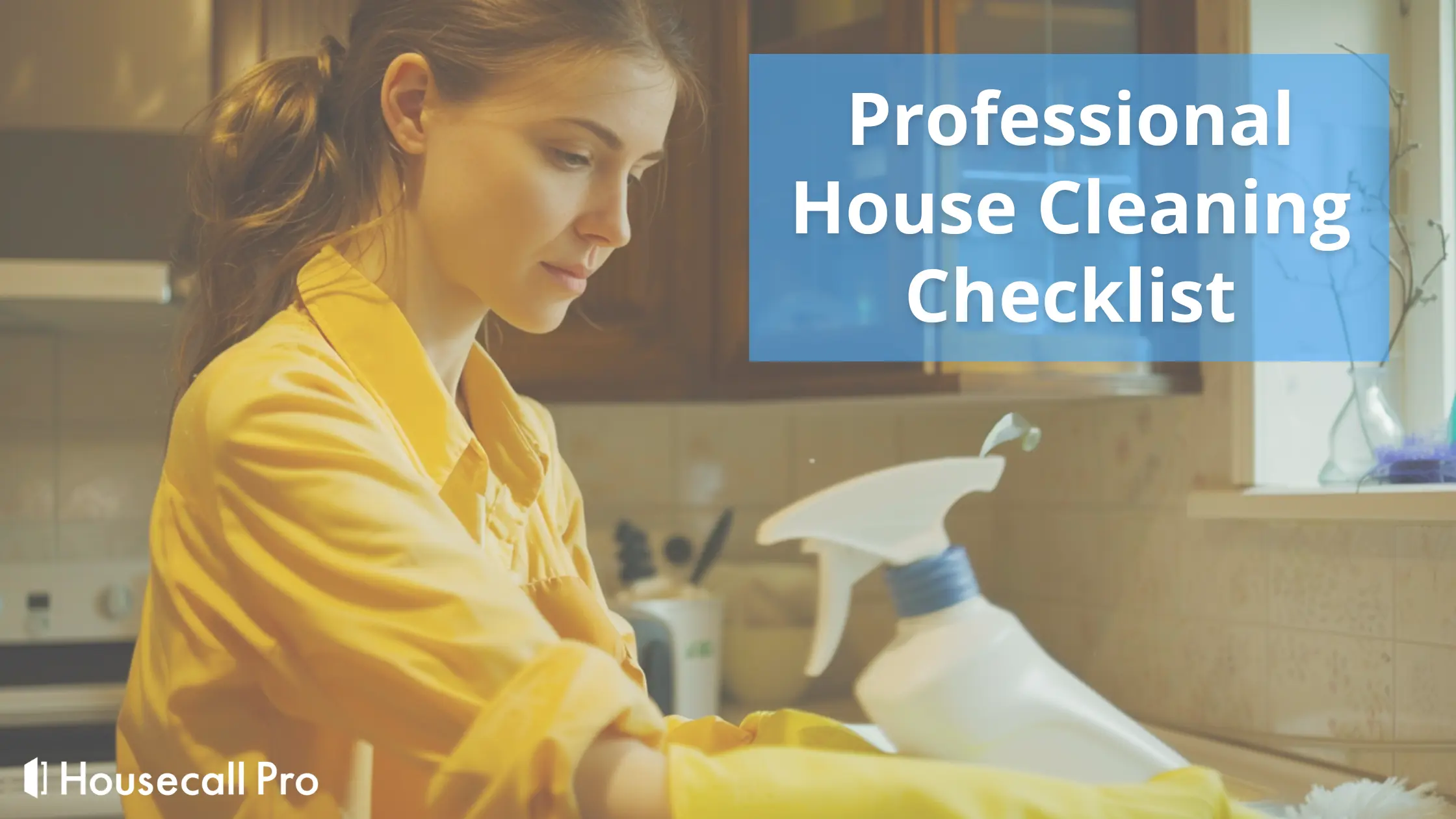 Professional House Cleaning Checklist